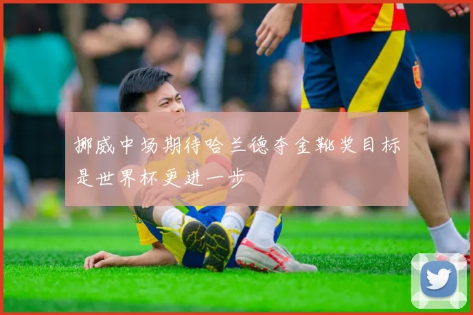 挪威中场期待哈兰德夺金靴奖目标是世界杯更进一步