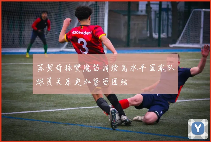 苏契奇称赞魔笛持续高水平国家队球员关系更加紧密团结